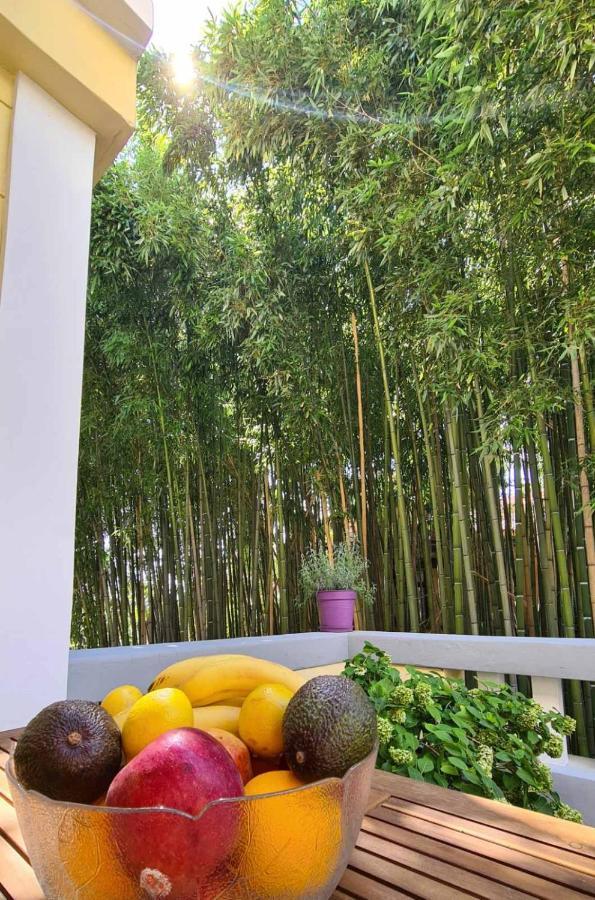 Bamboo 5