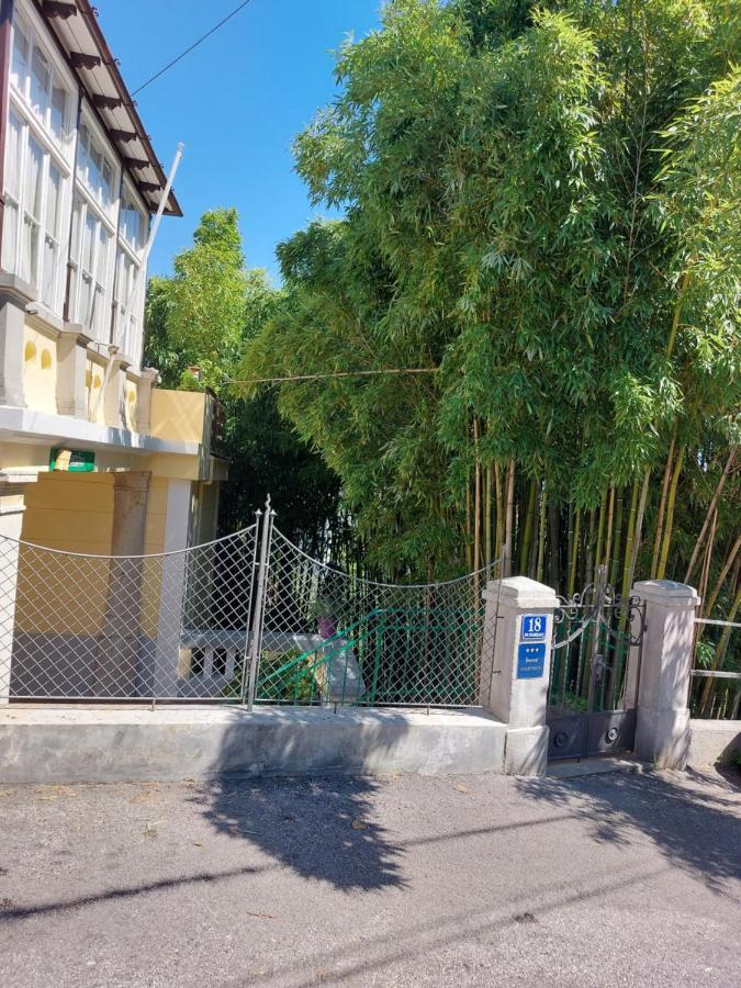 Bamboo 5