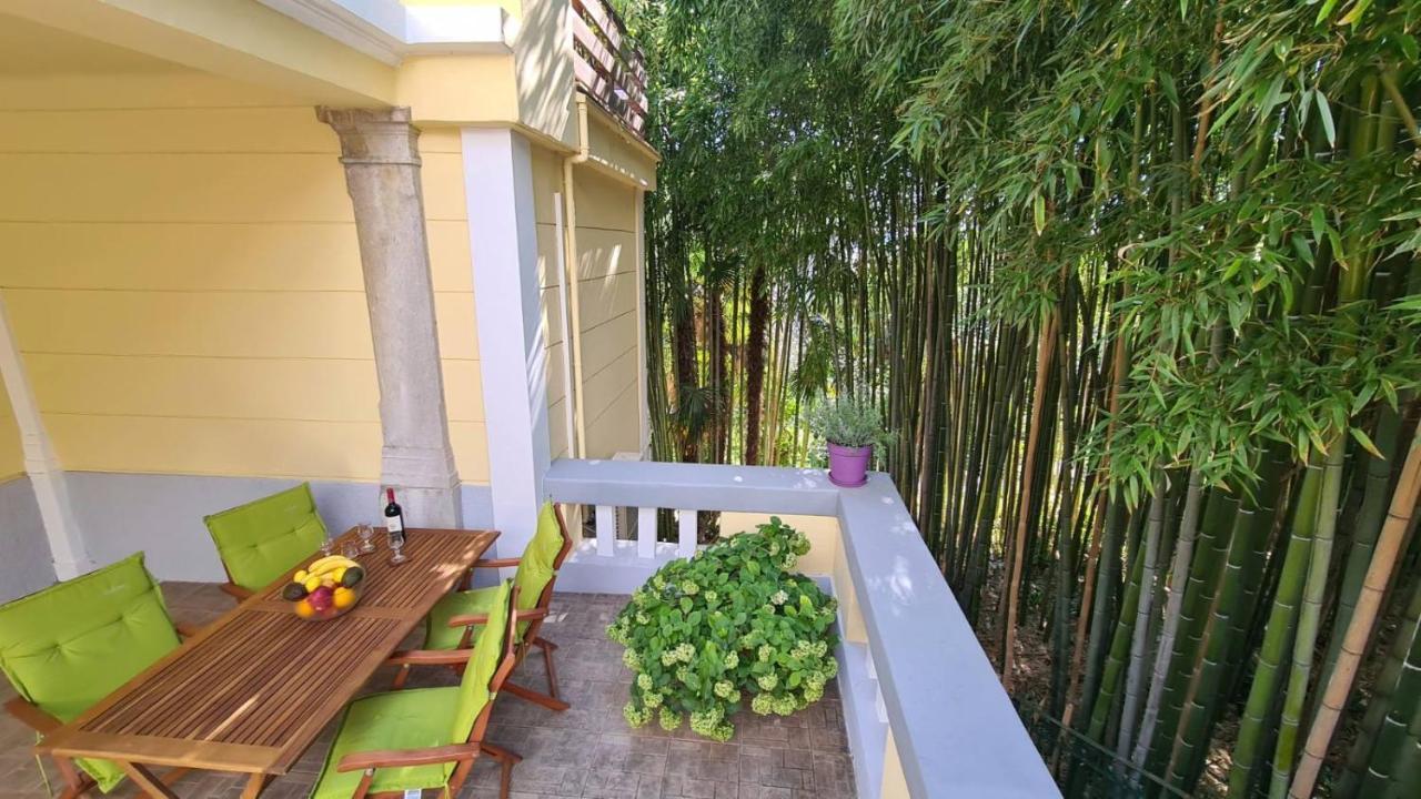 Bamboo 5 *